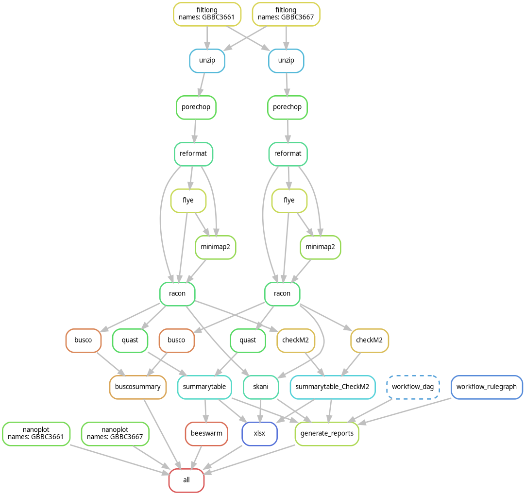 Nanopore Snakemake workflow