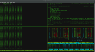 tmux view